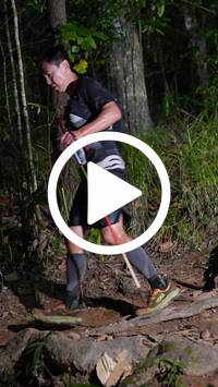 BIB:  <button type="button" onclick="openModal(27647153)" class="btn btn-primary btn-sm float-right" data-toggle="modal" data-target=".modal-high-quality">
                <i class="fa fa-download"></i> Download
                </button>